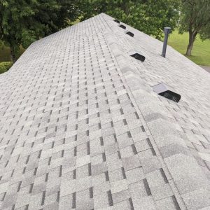 Berry – roof berry roof